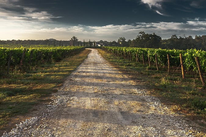 Chef Bob Wagonner Tuscany Tour Country Lane