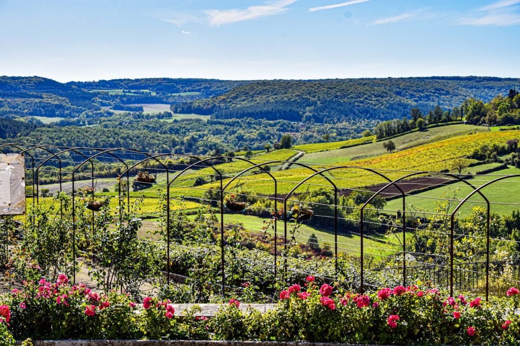 Burgundy valley
